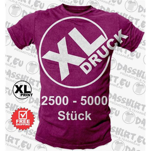 Textildruck | Druckeinheit fr 2500 - 5000 Teile | Siebdruck