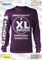 25 bedruckte Sweatshirts Pullover | Sweatsshirt bedruckt...