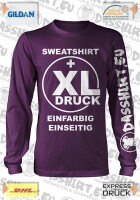 25 bedruckte Sweatshirts Pullover | Sweatsshirt bedruckt | Pullover bedrucken | Siebdruck
