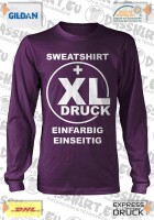 25 bedruckte Sweatshirts Pullover | Sweatsshirt bedruckt | Pullover bedrucken | Siebdruck