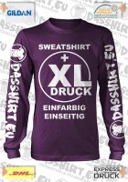 10 bedruckte Sweatshirts Pullover | Sweatsshirt bedruckt | Pullover bedrucken | Siebdruck