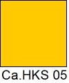 HKS 05