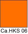 HKS 06