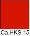 HKS 15
