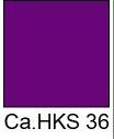 HKS 36