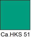 HKS 51