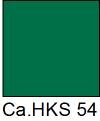 HKS 54