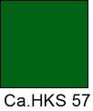 HKS 57