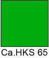 HKS 65